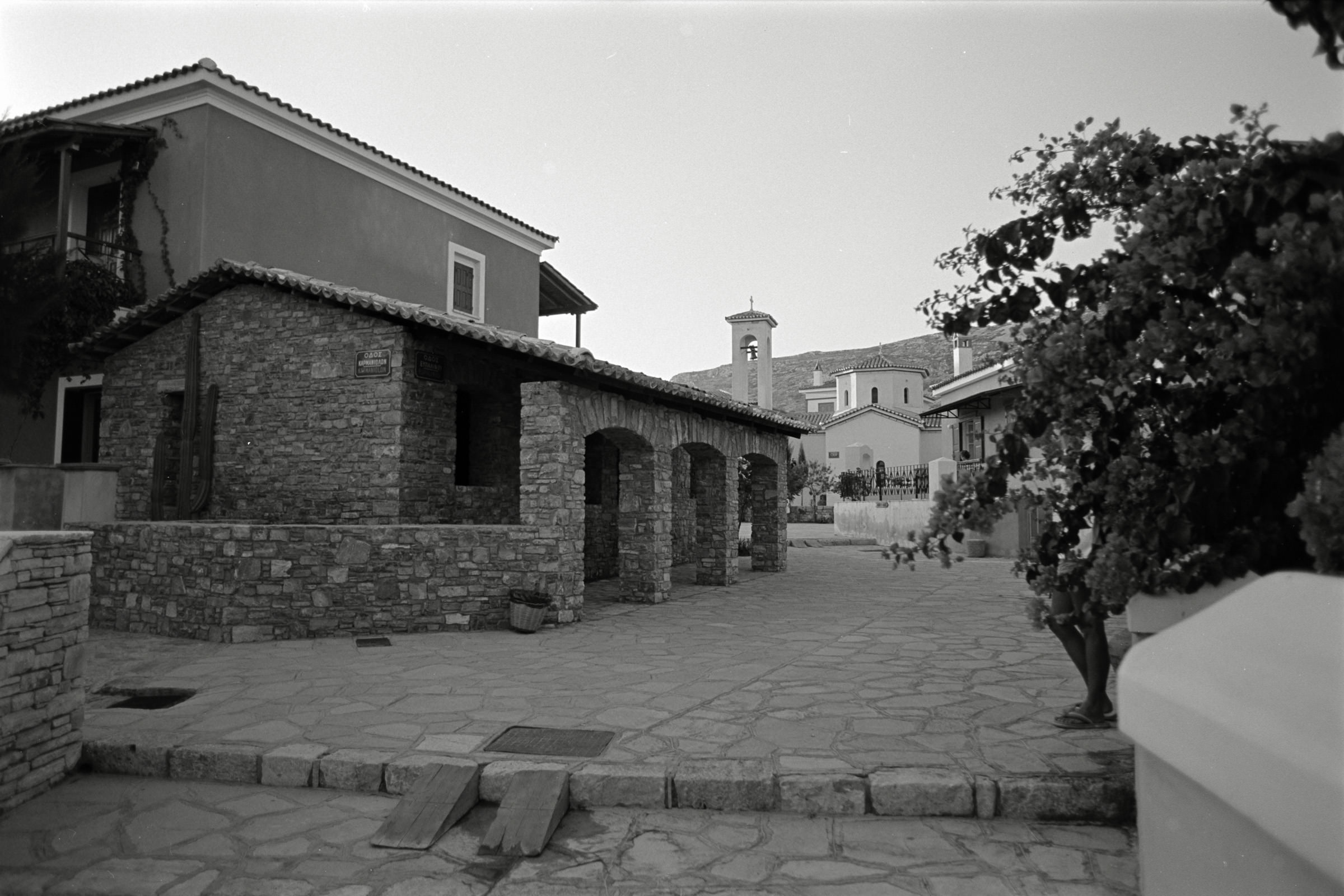 AHP F1991 09 003 sc240914 img33 NLP